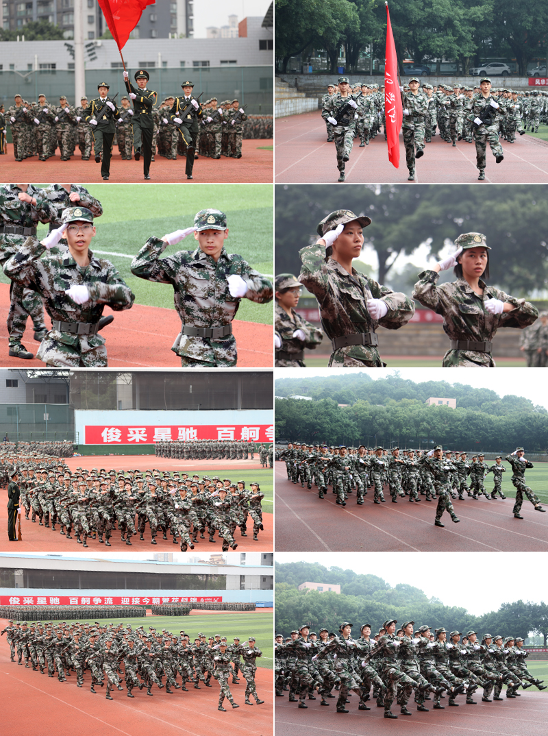 1603033490788000557.jpg 15.jpg