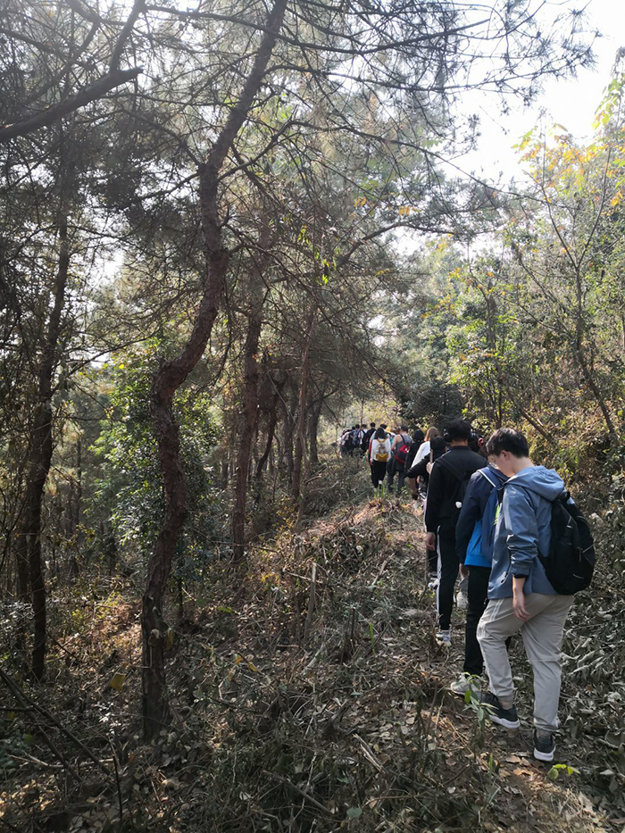 1605973315898034970.jpg 27.jpg