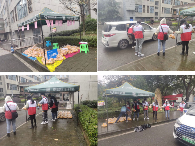 1608304863574041091.png 13.png