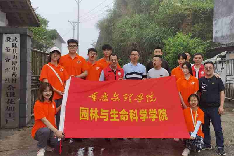 1626103613091058717.jpg 1625797334747042219.jpg