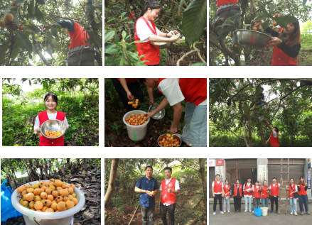 Prec_1653487146628028325.png Prec_1653487146628028325.png