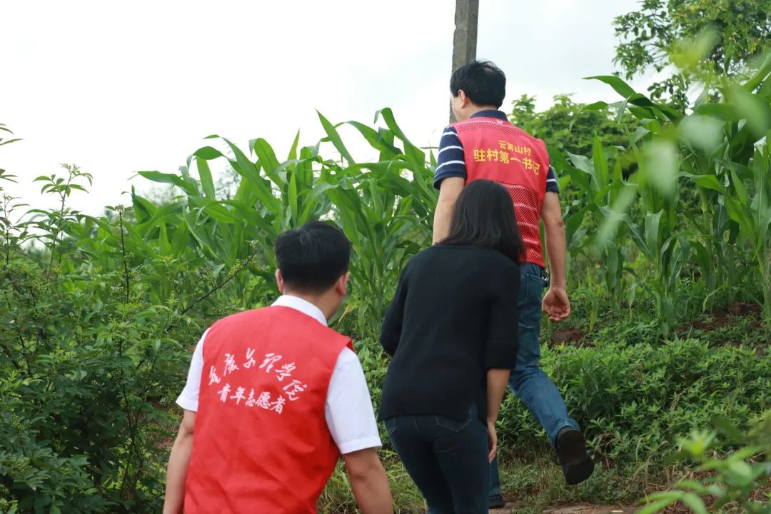 rVab_1653487115419044546.jpg rVab_1653487115419044546.jpg