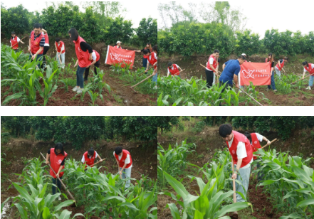 wYAC_1653487135309065118.png wYAC_1653487135309065118.png