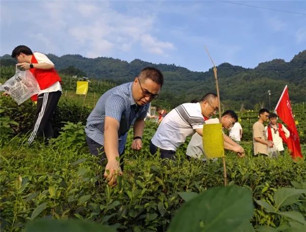 WJKZ_1693894435887032216.jpg 718 2.jpg